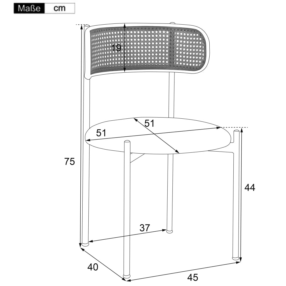 Lot de 2 chaises en velours et métal – Reiko