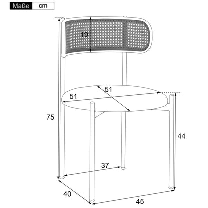 Lot de 2 chaises en velours et métal – Reiko